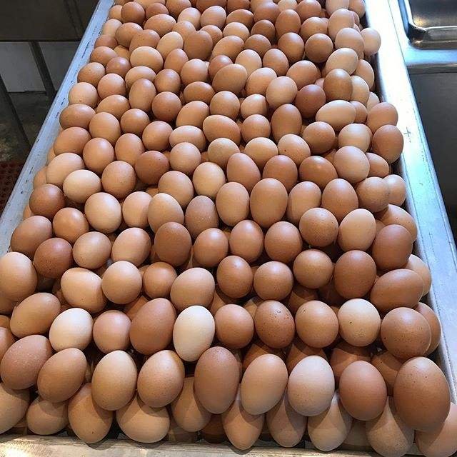 Farm Fresh Brown and White Chicken Table Eggs