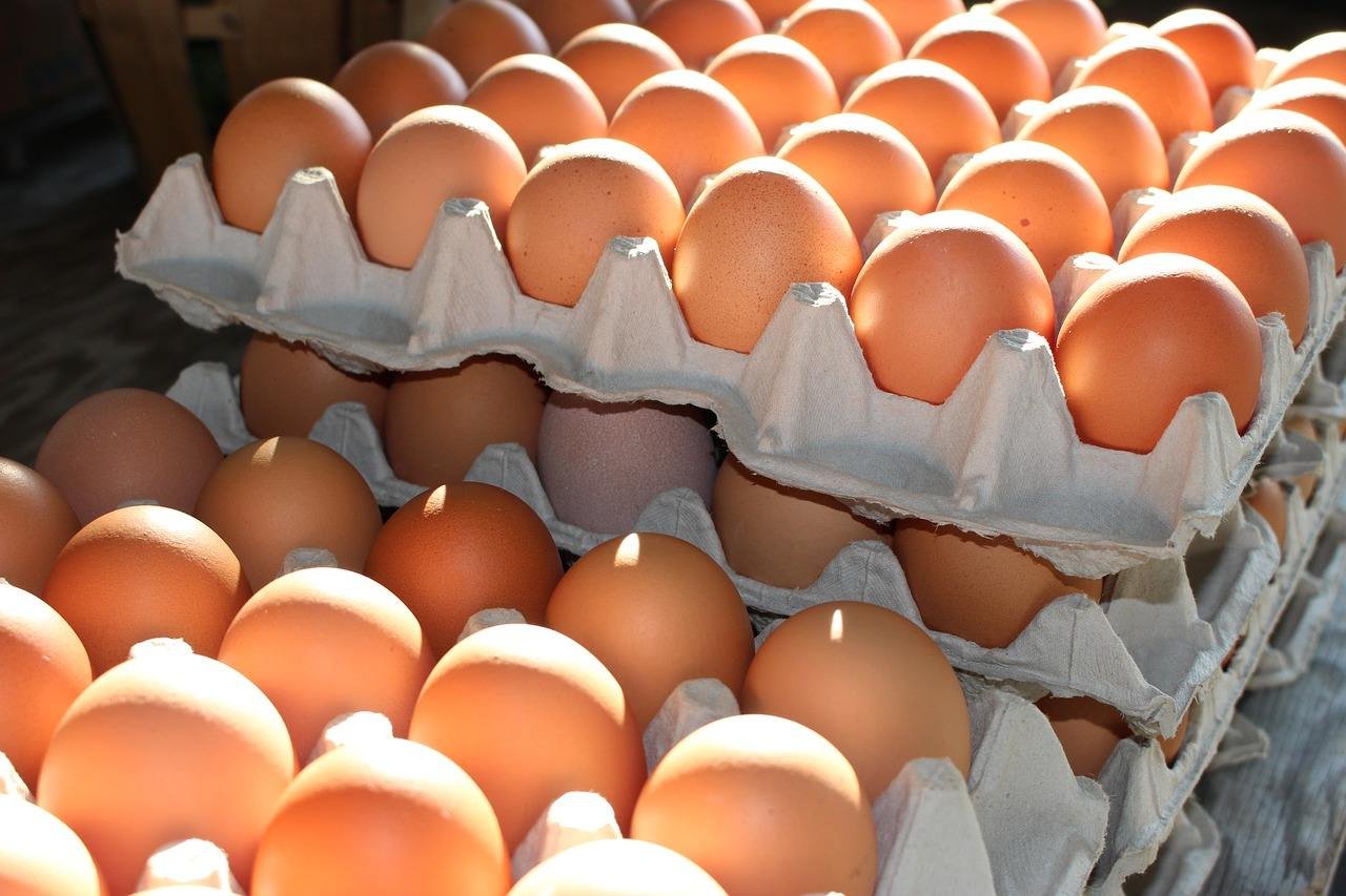 Farm Fresh Brown and White Chicken Table Eggs