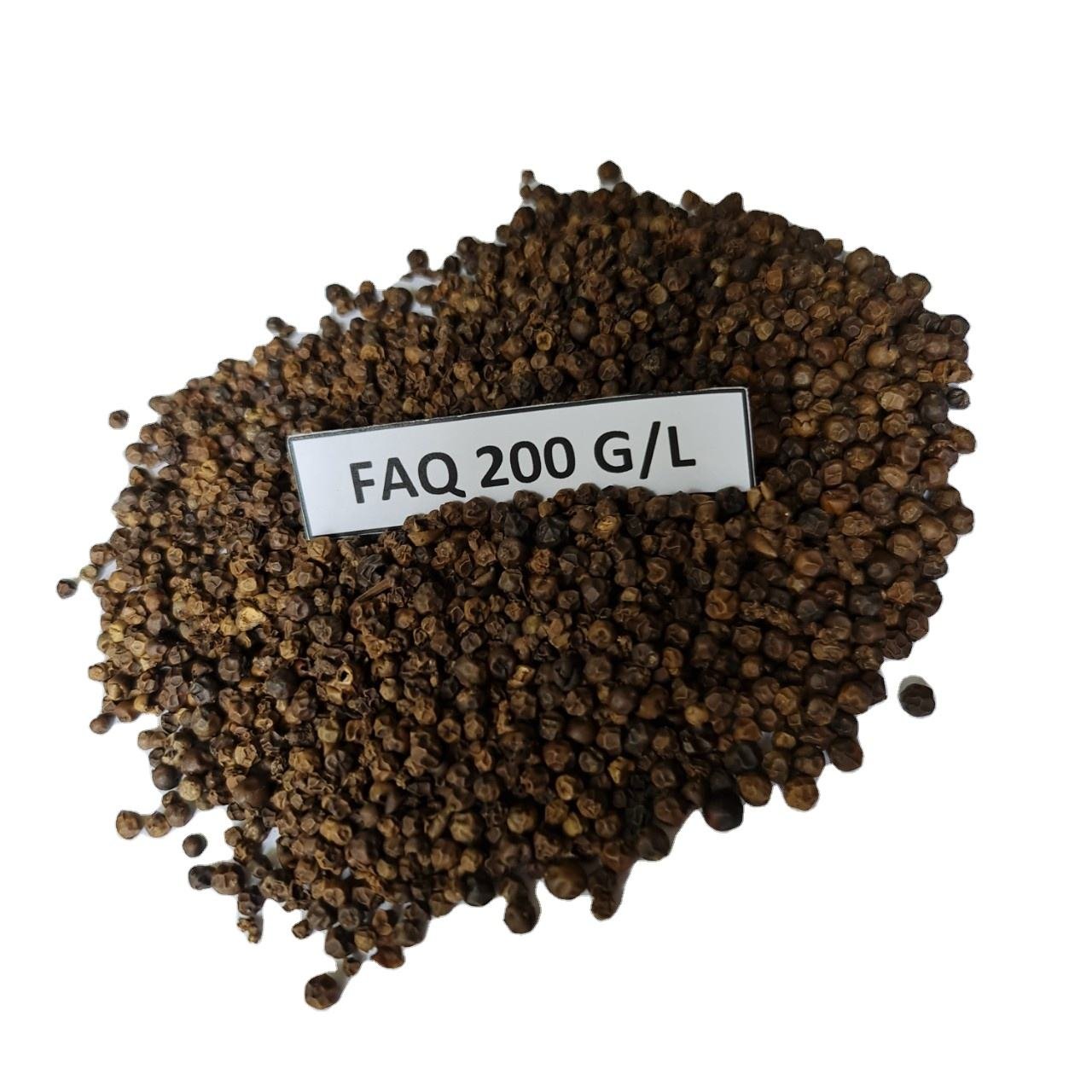 High Quality Black Pepper Seeds