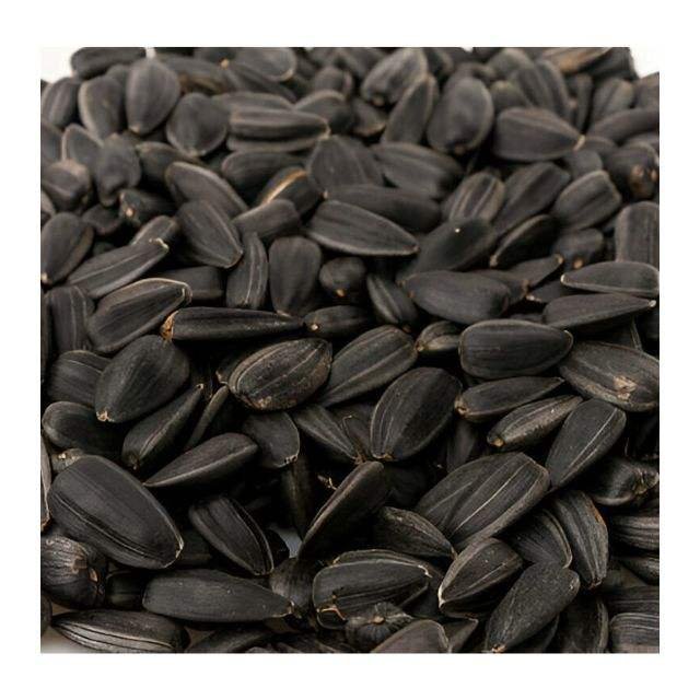 Bulk Dried Sunflower Seeds for Oil Pressing and Industrial Use