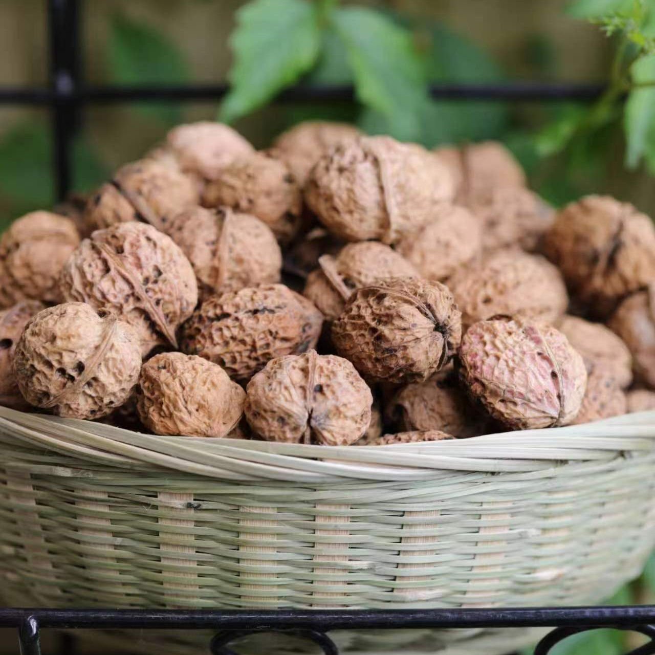 Organic Walnuts