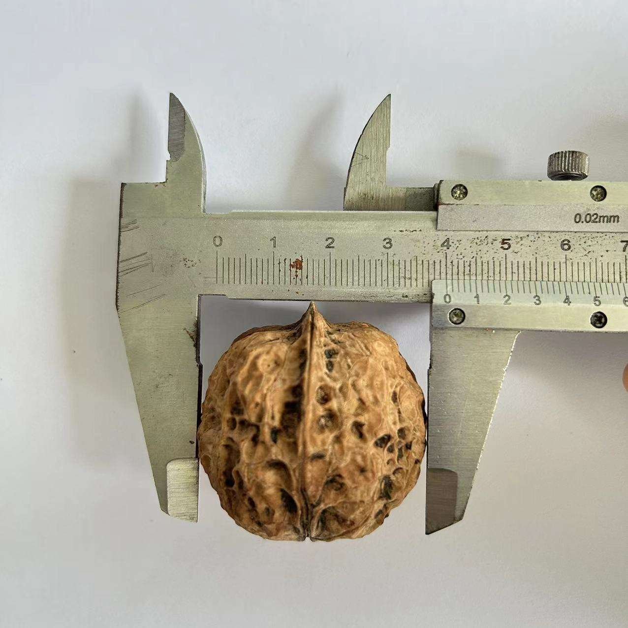 Organic Walnuts