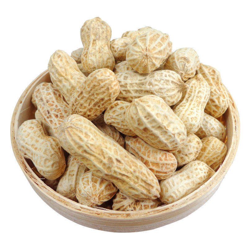 High-Quality Shelled Raw Peanuts
