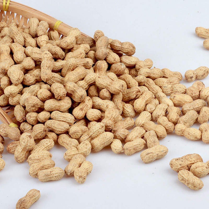 High-Quality Shelled Raw Peanuts