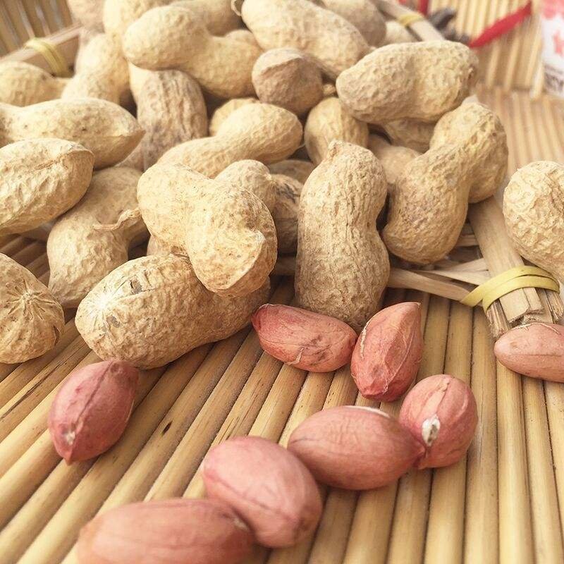 High-Quality Shelled Raw Peanuts