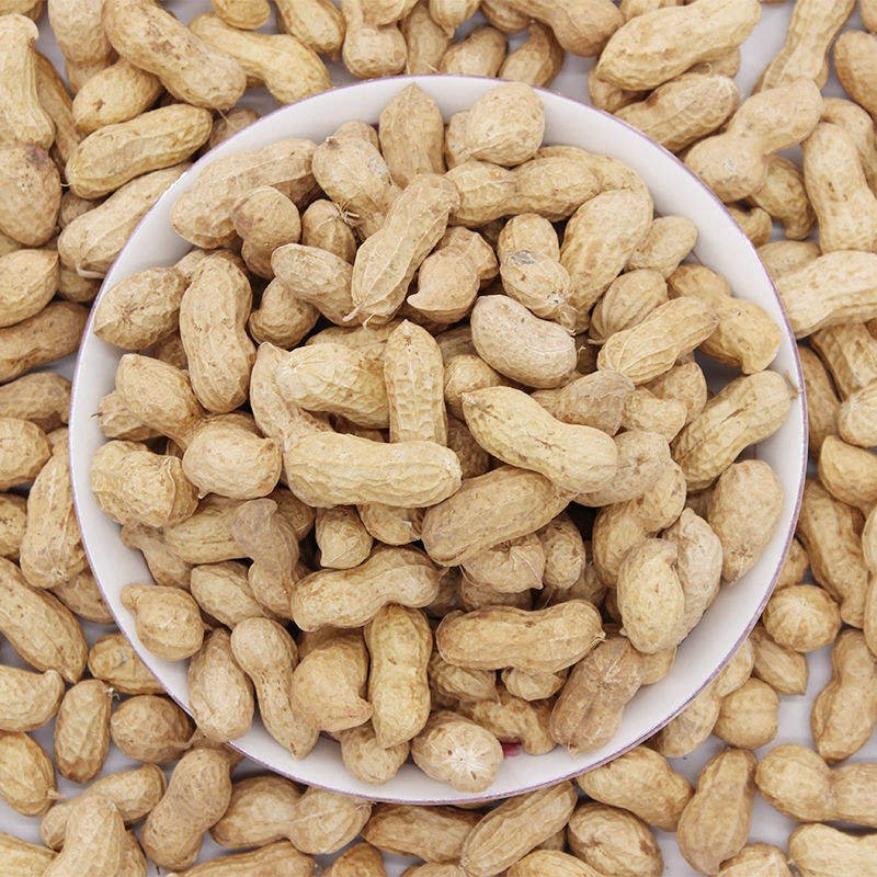 High-Quality Shelled Raw Peanuts