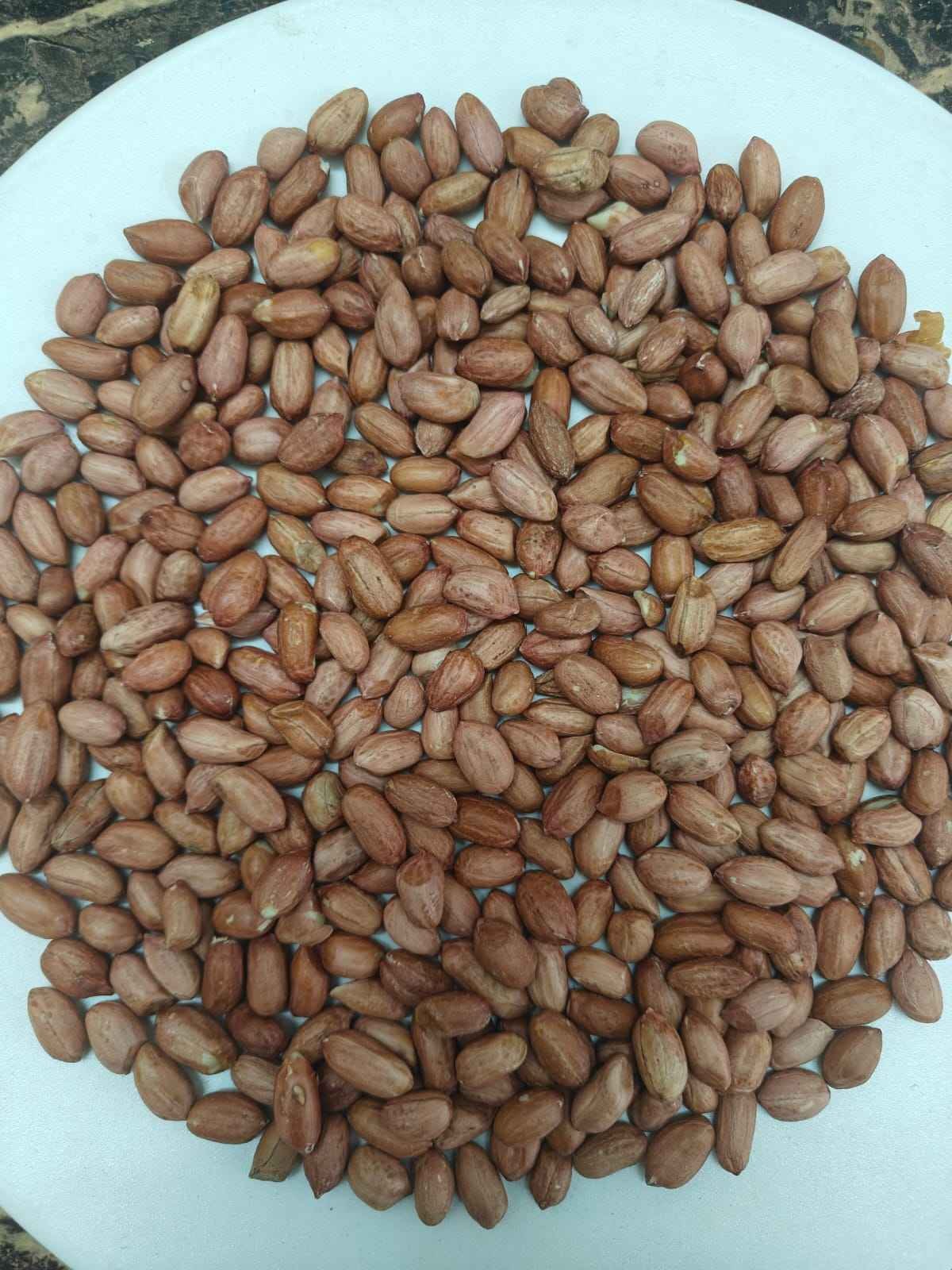 Premium Raw Indian Peanuts
