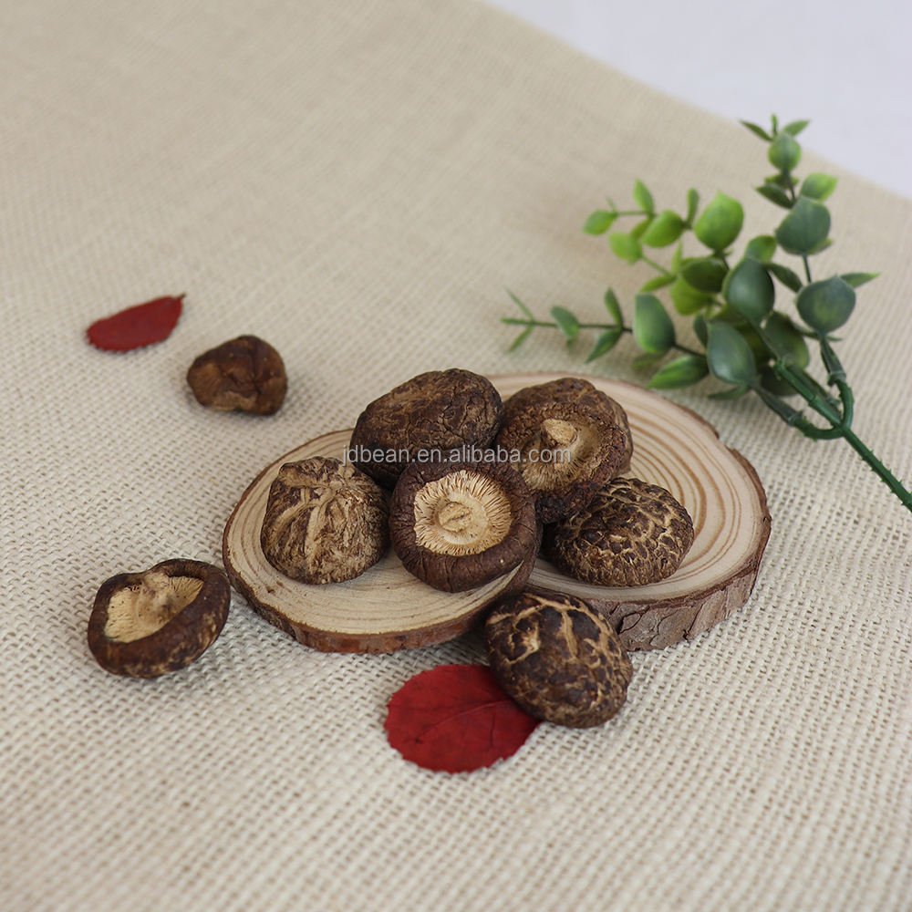 Dried Shiitake Mushroom