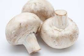 White Mushroom