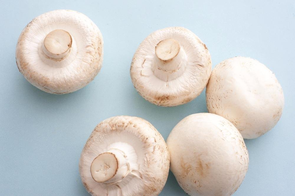 White Mushroom