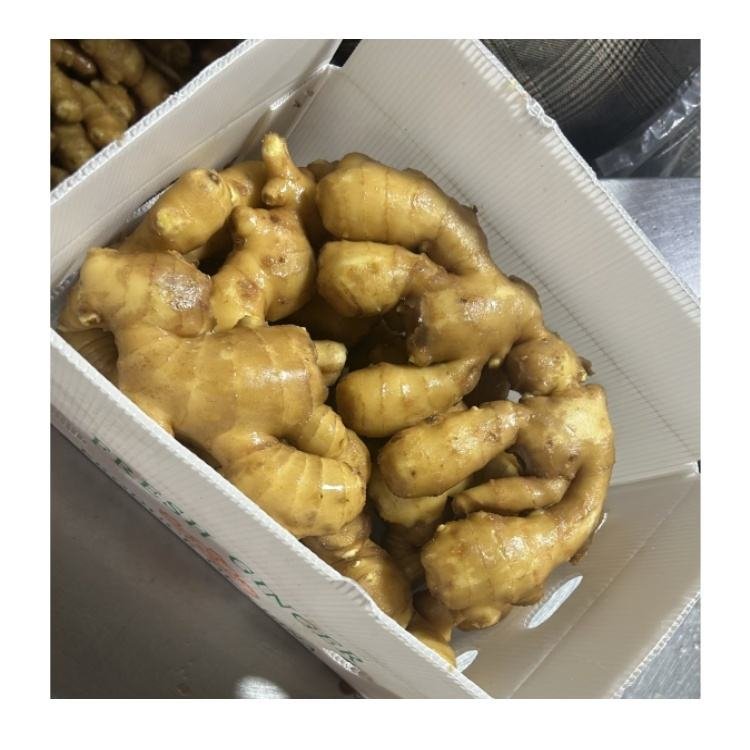  Ginger Export Shandong Supplier 150g 200g Air Dried Ginger Low Prices