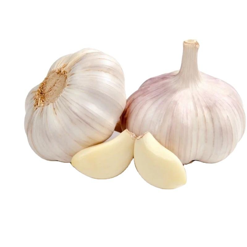 High Quality Pure Normal White Fresh Peeled Garlic for Food Use