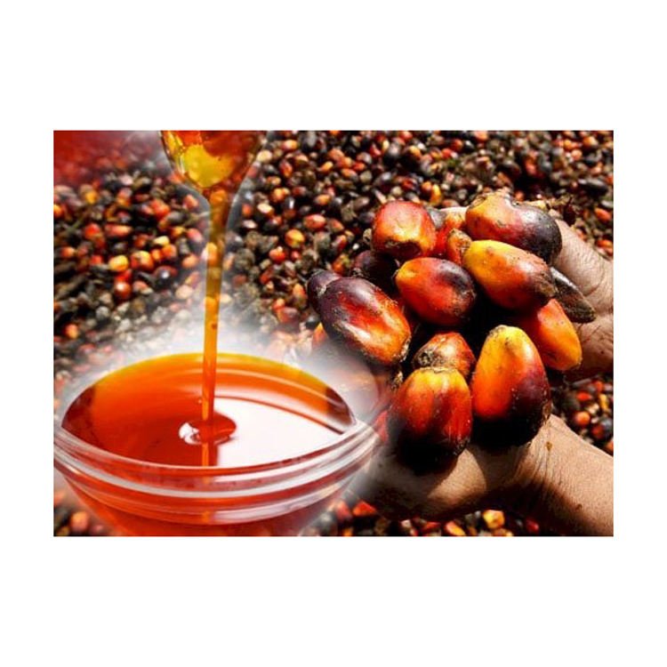 Palm Oil Stearin – 100% Pure Refined Food Grade