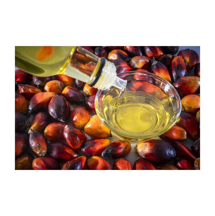 Factory Price 100% Pure Organic Crude Palm Oil Food Grade Stearin Oil