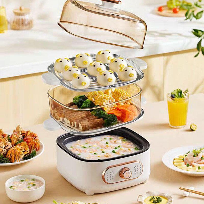 Electric Food Steamer 