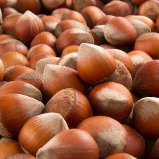 hazelnuts