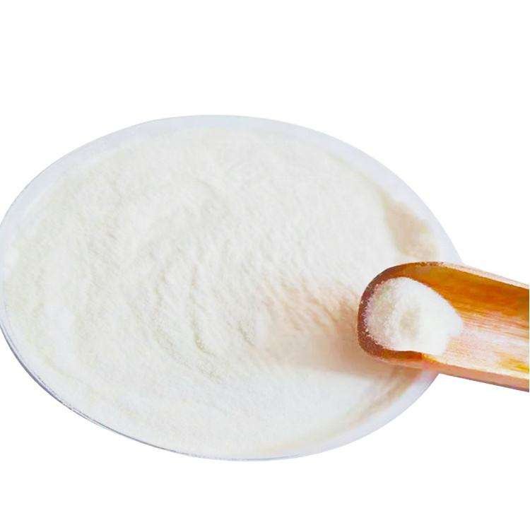 Creatine Monohydrate Powder