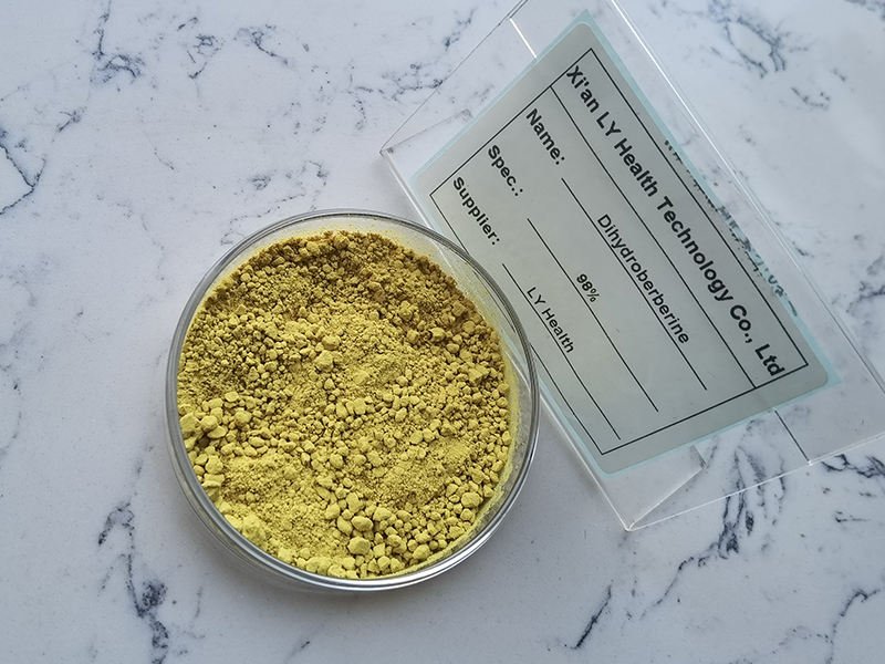 Food Grade Supplement DHB CAS 483-15-8 Dihydroberberine Powder