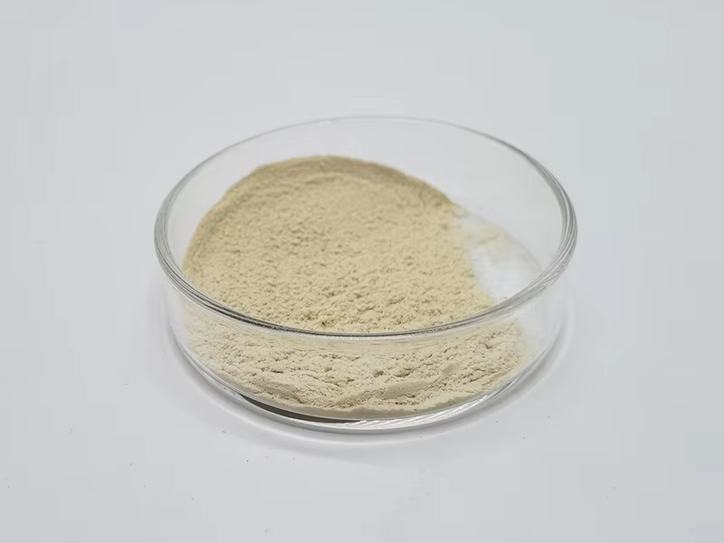 Antioxidant Improve Sleep Food Grade Natural Enzymolysis Lotus Seed Powder