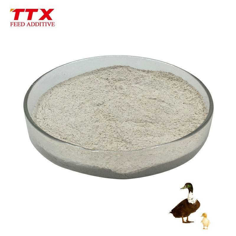 Bulk Bacillus Subtilis Fermentacin