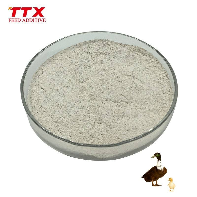 Bacillus Subtilis Mtcc 1427 for Pigeon
