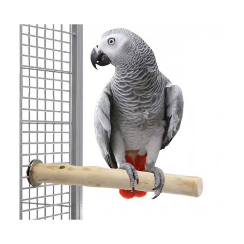 HOT HOT 2024|PREMIUM COFFEE WOOD BIRD PERCH, GOOD PRICE - the BEST CHOICE for YOU/ Ms.Thi