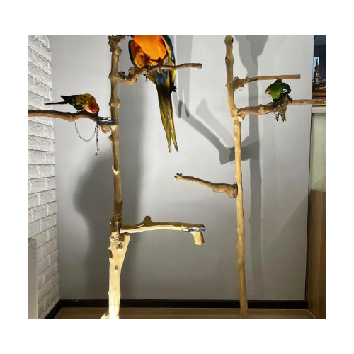 HOT HOT 2024|PREMIUM COFFEE WOOD BIRD PERCH, GOOD PRICE - the BEST CHOICE for YOU/ Ms.Thi