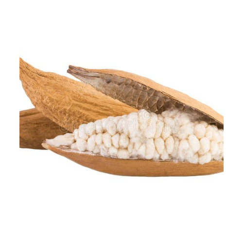 KAPOK POD HAS a LARGE EXPORT QUANTITY of HIGH QUALITY FROM VIETNAMESE SUPPLIERS/ Ms.Thi