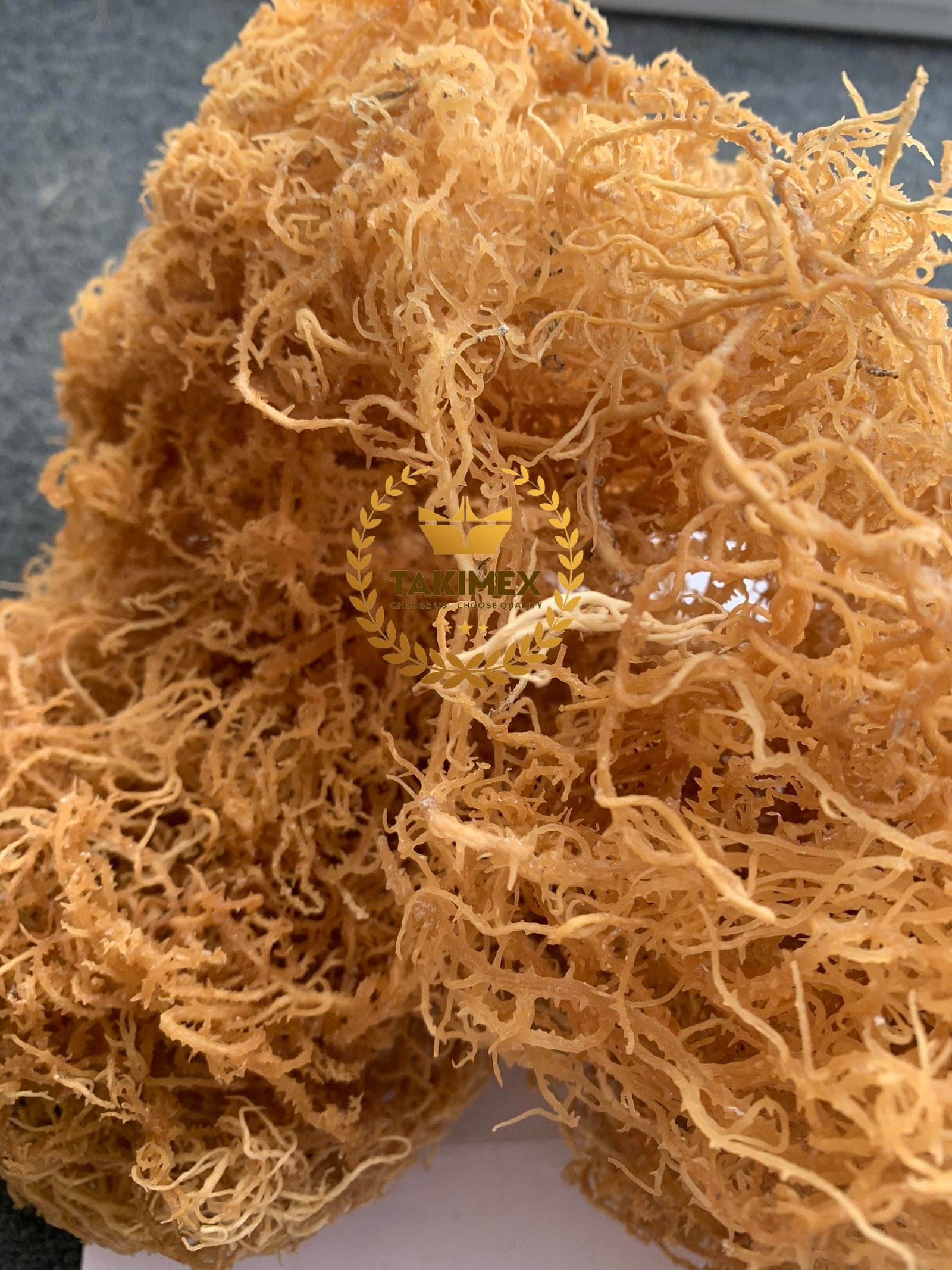 HOT PRICE of DRIED SEA MOSS/ IRISH MOSS FROM VIETNAMESE SUPPLIER / NATURAL SEAMOSS for MAKING GEL TAKIMEX Factory