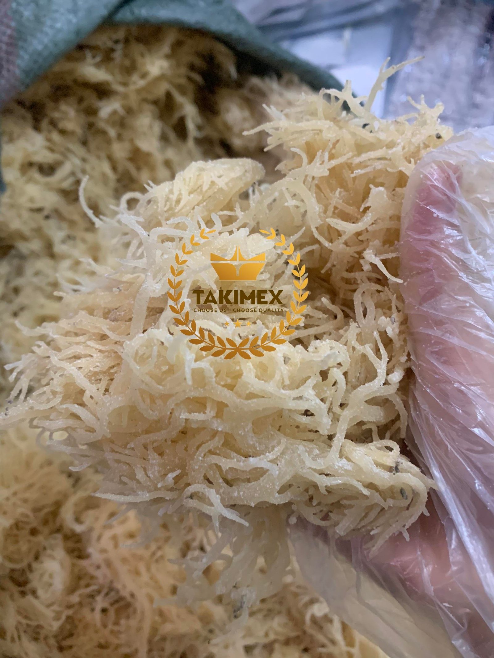 HOT PRICE of DRIED SEA MOSS/ IRISH MOSS FROM VIETNAMESE SUPPLIER / NATURAL SEAMOSS for MAKING GEL TAKIMEX Factory