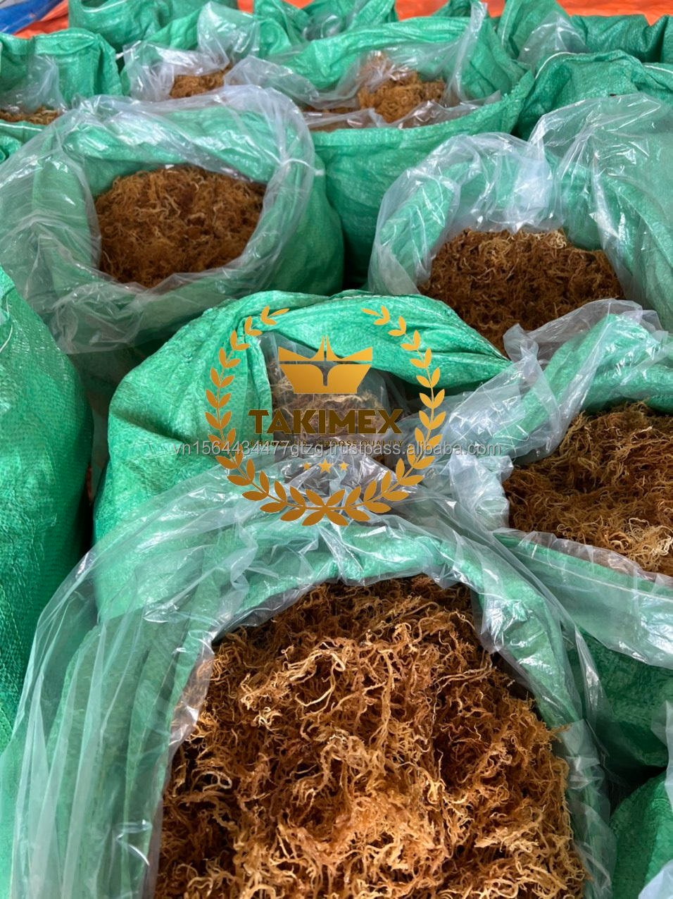 HOT PRICE of DRIED SEA MOSS/ IRISH MOSS FROM VIETNAMESE SUPPLIER / NATURAL SEAMOSS for MAKING GEL TAKIMEX Factory