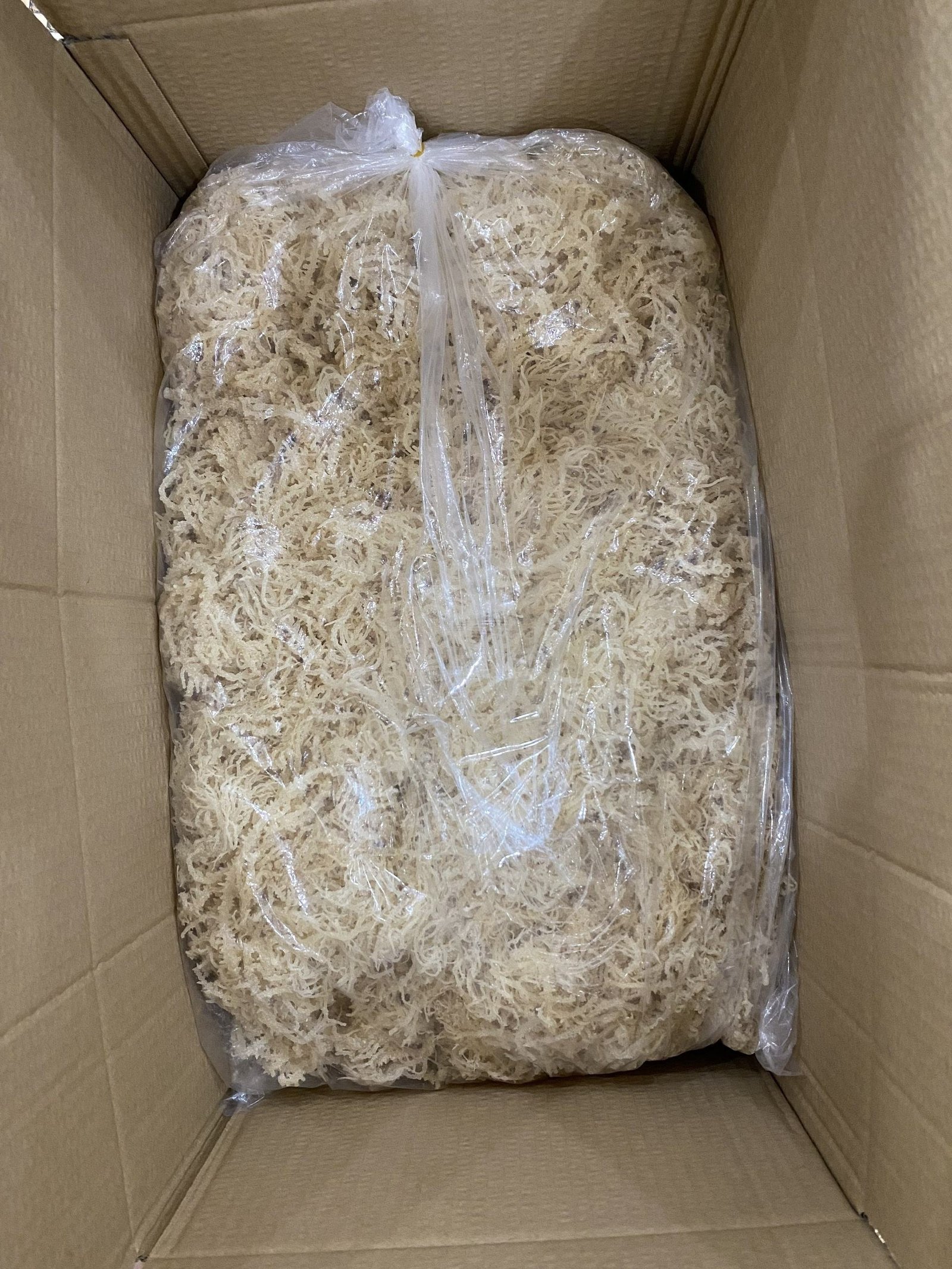 Wholesale Sea Moss Eucheuma Cottonii with Salt Dried Seaweed Cheap Price From Vietnam/Dried Eucheuma Seaweed Satled Good Price