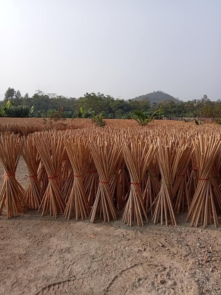 GIA NGUYEN CRAFT Eucalyptus Wooden Broomsticks Straight and PVC Coated Durable Broom Handles Model SR-WBS1215-01 for Home Use