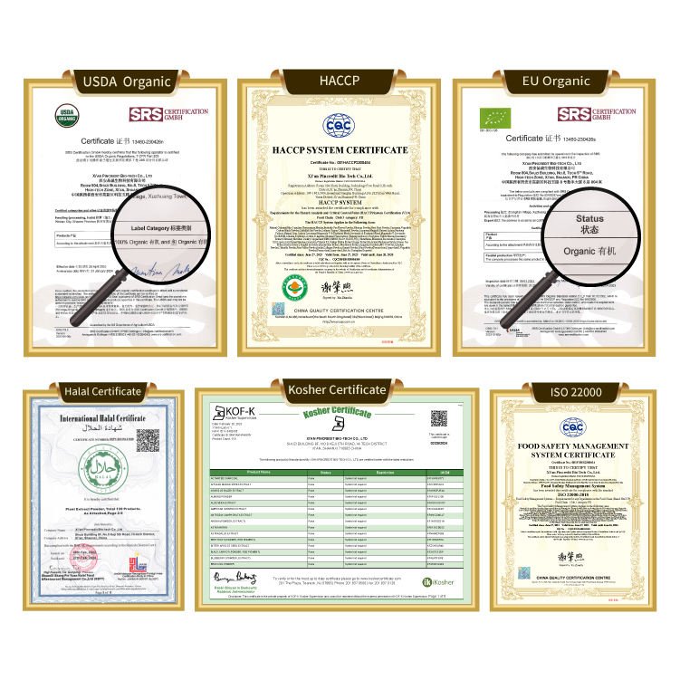 Wholesale Bulk GMO Free Natural Chinese Organic Pure Ube Purple Yam Powder