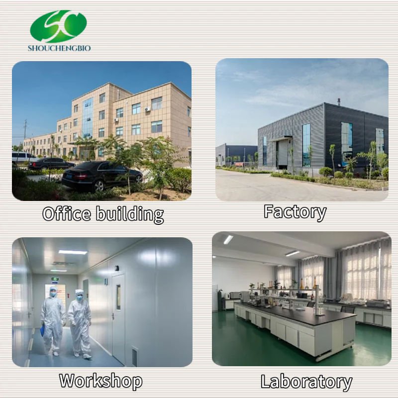 Natural Food Stevia Sweetener RA Stevia Leaf Extract Powder Stevia Powder Steviosides RM 98%