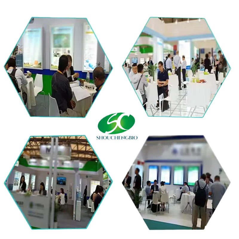 Natural Food Stevia Sweetener RA Stevia Leaf Extract Powder Stevia Powder Steviosides RM 98%