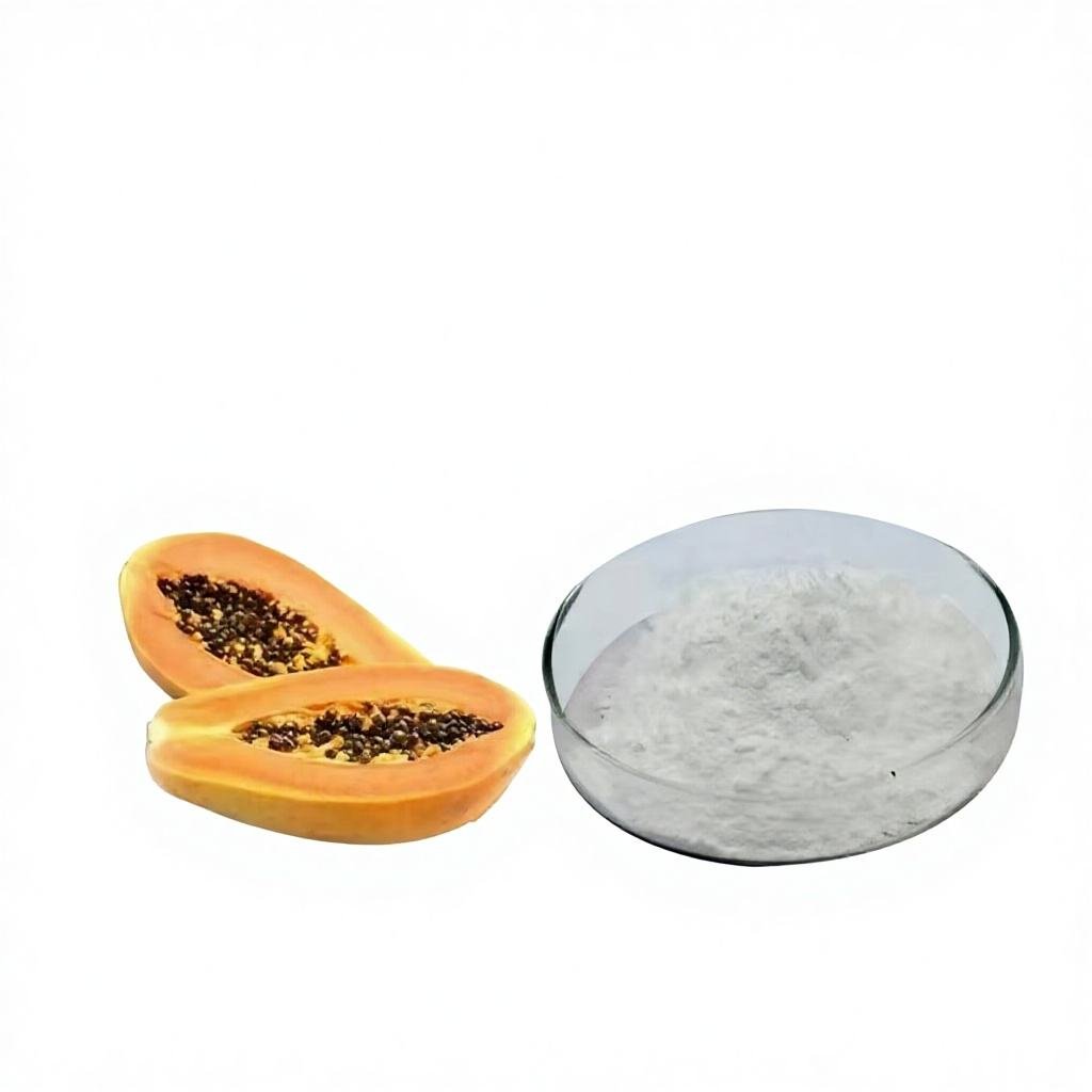 Organic Papain Enzyme Powder