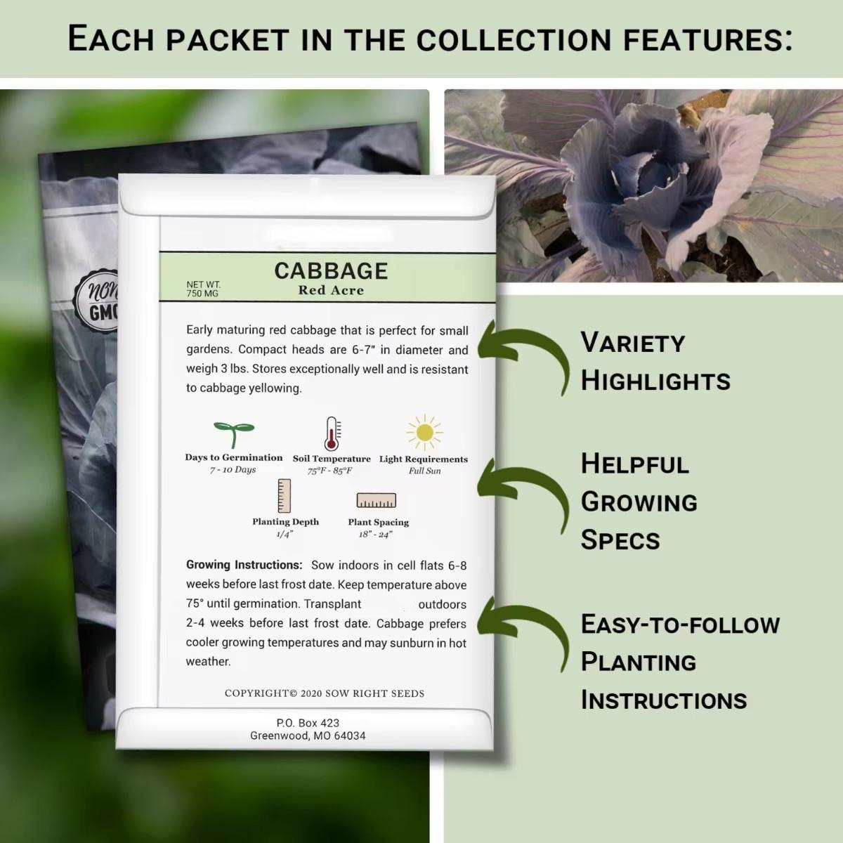 Modern Country-Style Complete Garden Vegetable Garden Kit Collection Plant Fiber Material for Home Desktop Planting