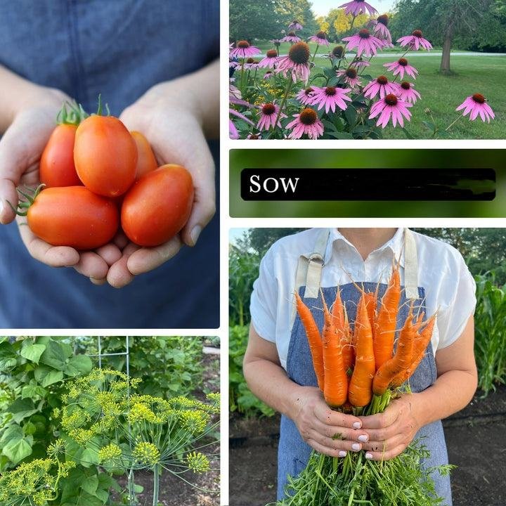 Modern Country-Style Complete Garden Vegetable Garden Kit Collection Plant Fiber Material for Home Desktop Planting