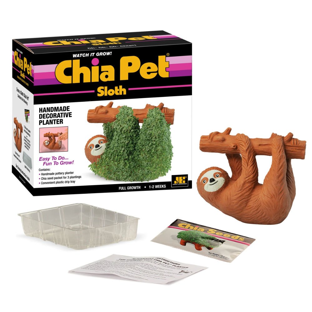 Eco-Friendly SLOTH Chia Pet Garden Cute Modern for Home Office Desktop