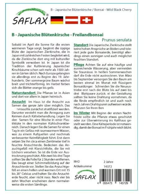 Bonsai Plant Grow Kit for Home Desktop Decor