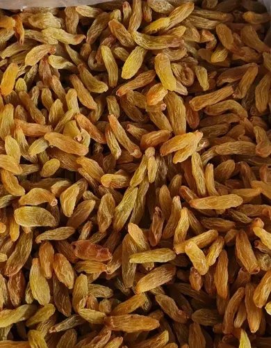 Best Price Export Organic Nashik Golden Yellow Long Raisin Sweet Water Preserved Healthy Dried AD Process