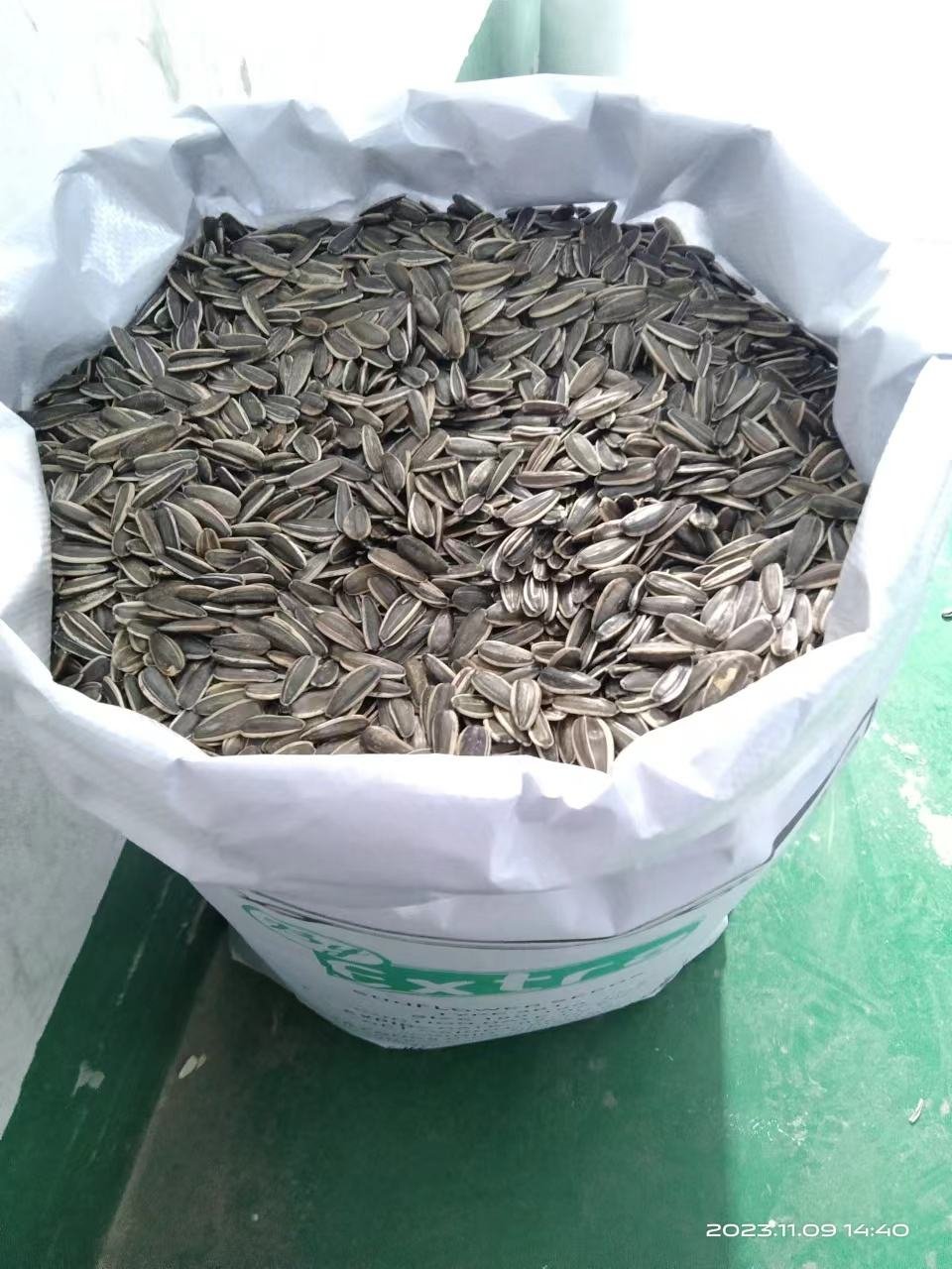 High quality Sunflower Seeds natural Types Dried 361 363 T66