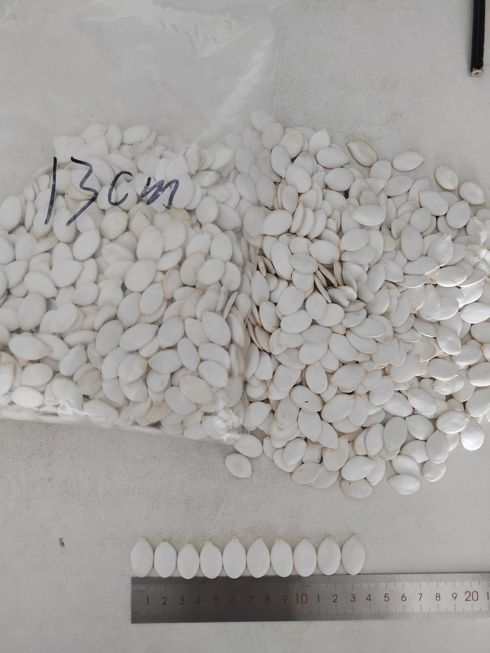 Hot Selling High Quality Pumpkin Seeds Snow White Pumpkin Seeds