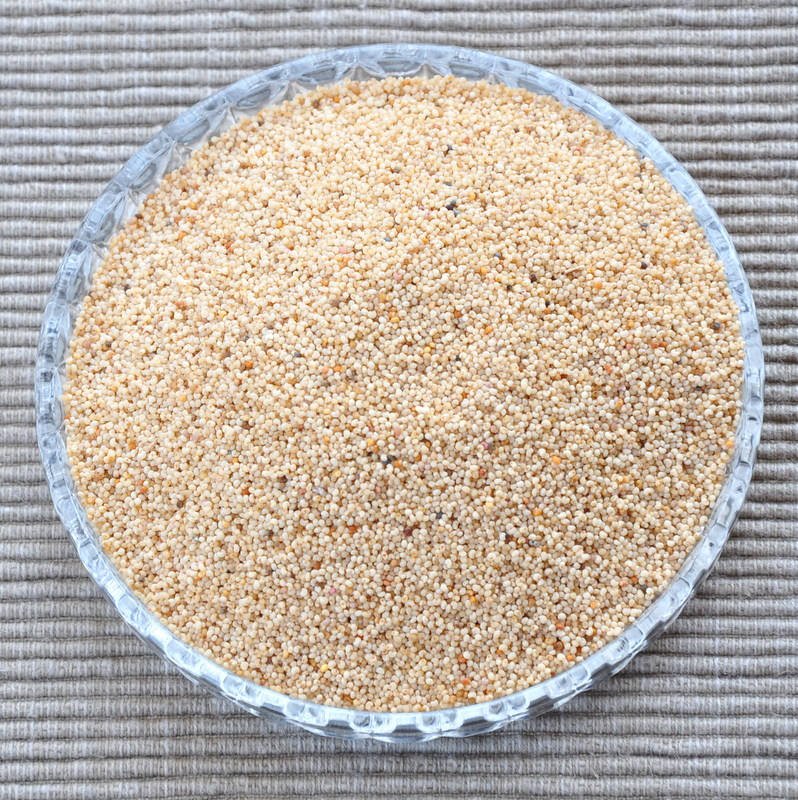 Best Quality White Poppy Seeds