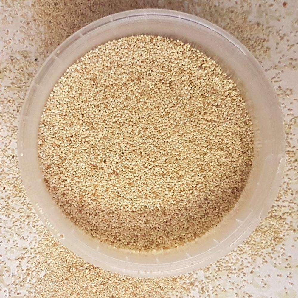 Best Quality White Poppy Seeds