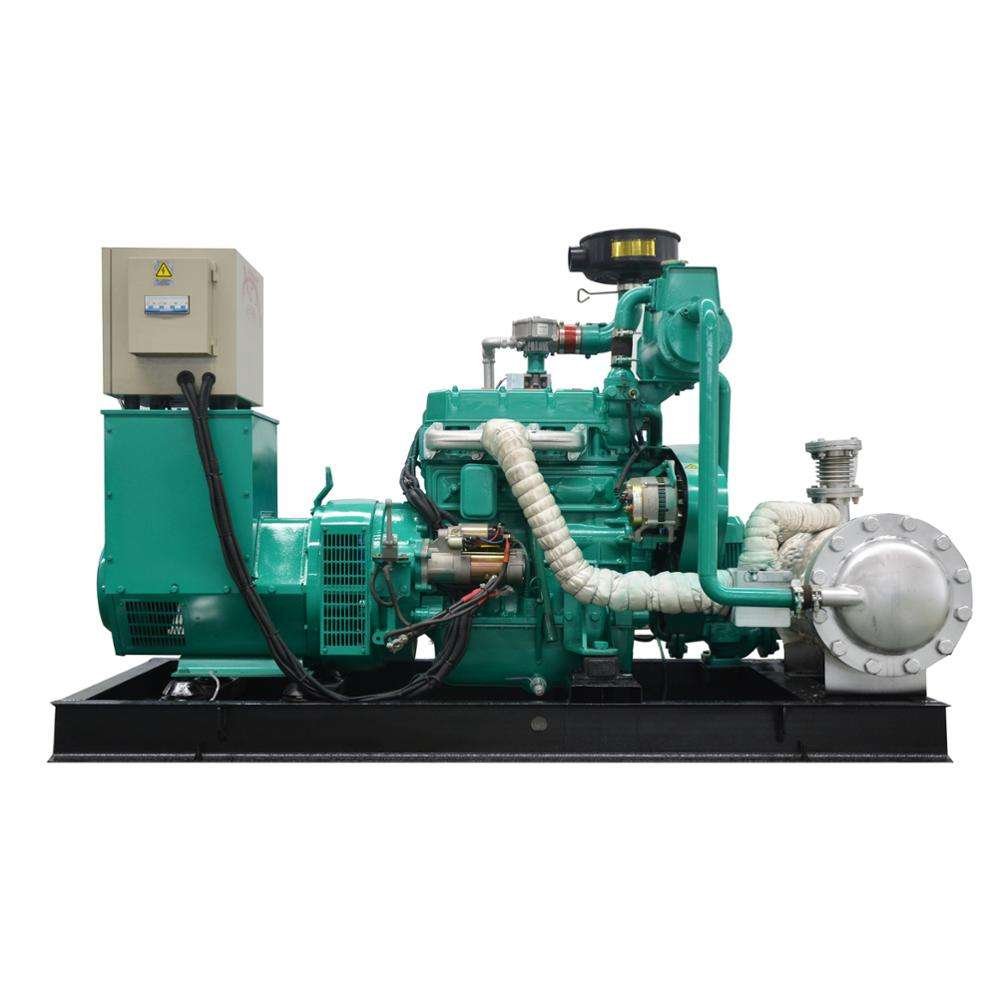50 kW 60 kW 80 kW 100 kW 120 kW 150 kW 50/60 HZ Natural Gas Generator Set for Industrial Use with CE