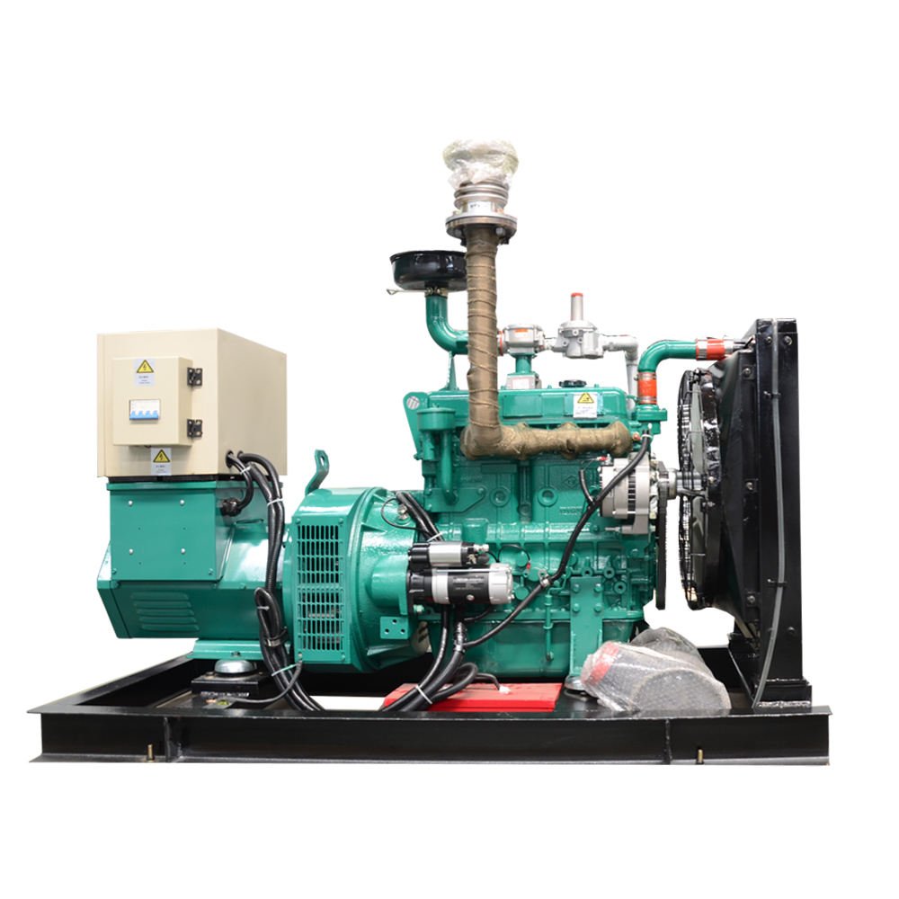 10 kW 15 kW 20 kW 25 kW 30 kW 40 kW 50/60 HZ Natural Gas Generator Set