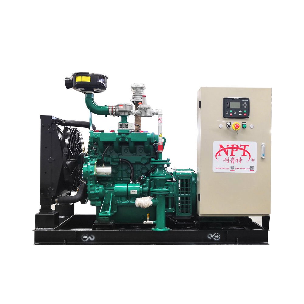 10 kW 15 kW 20 kW 25 kW 30 kW 40 kW 50/60 HZ Natural Gas Generator Set