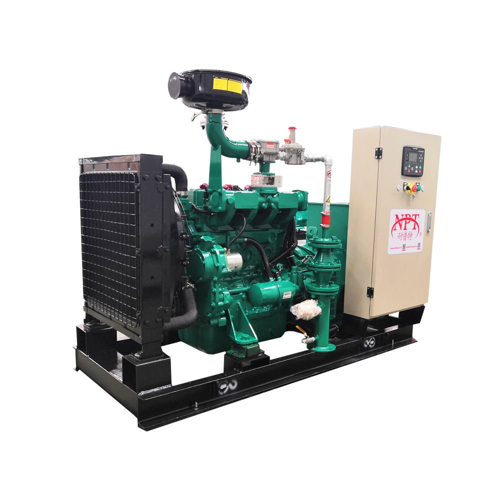 10 kW 15 kW 20 kW 25 kW 30 kW 40 kW 50/60 HZ Natural Gas Generator Set